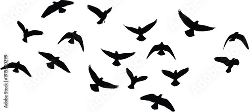 Flying Birds Silhouette Collection Featuring Flock of Pigeons or Doves in Flight for Nature Freedom Peace Concept and Vector Illustration