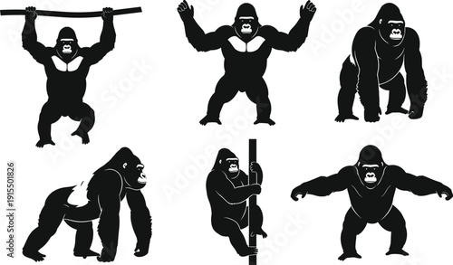 Gorilla Silhouette Collection Featuring Powerful Primate Poses for Sports Mascot Logo Design Wildlife Nature Conservation and Zoo Animal Vector Illustration