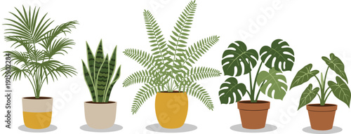 Indoor Potted Tropical Houseplants Collection Featuring Palm Snake Plant Fern Monstera and Decorative Foliage Vector Illustration Set