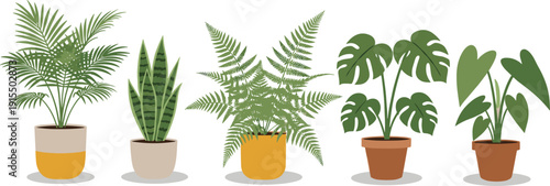 Indoor Potted Houseplants Collection Featuring Palm Snake Plant Fern Monstera and Tropical Foliage Vector Illustration Set