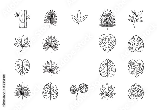 Set of Tropical Plant Leaf Line Art Icons Botanical Elements Floral Design Motifs Collection Isolated on White Background