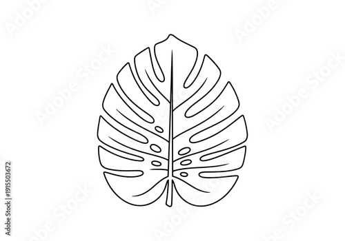 Tropical Leaf Outline Vector Art Plant Botanical Element Design Isolated On White Background Line Drawing Flora Botanical