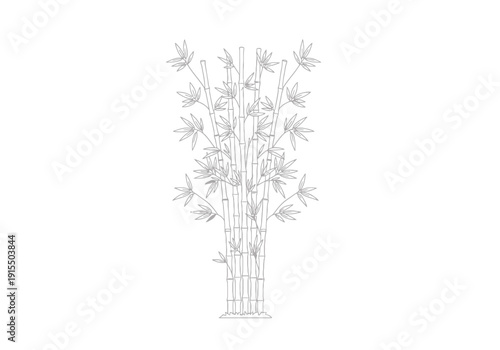 Stylized Bamboo Stalks with Delicate Leaves Depicted in a Clean Line Art Outline Format on a White Background for Design Elements