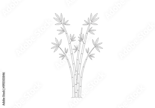 Elegant Outline Drawing of Bamboo Stalks with Detailed Leaves and Stems on a Clean White Background for Natural Design Themes