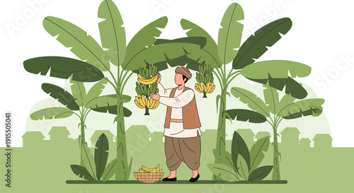 Traditional Farmer Harvests Abundant Banana Crop In Lush Tropical Plantation