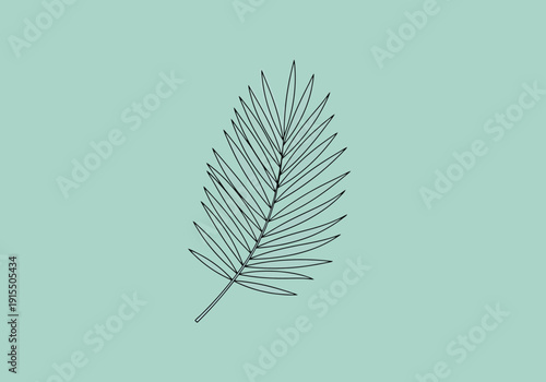 Delicate Botanical Outline of a Feather Shaped Frond Against a Solid Pale Aqua Background Minimalist Natural Element Art