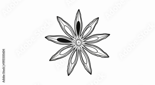 Black and white drawing of a star anise spice with eight pointed segments
