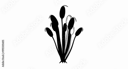 Black and white illustration of a cluster of cattails
