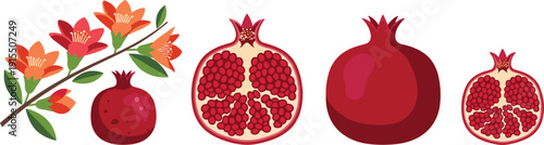 Fresh red pomegranate fruit set with whole pomegranates half sliced fruit showing seeds and a blooming flower branch vector illustration on white.