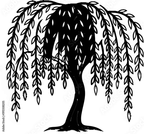 Black and white illustration of a weeping willow tree with drooping branches