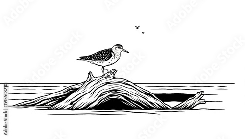 Bird perched on driftwood by the water with two small birds in the sky