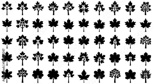 Collection of various black leaf silhouettes on white background diverse tree shapes and sizes
