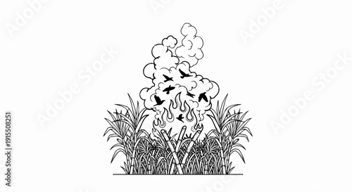 Birds fly from burning sugar cane stalks amidst smoke plumes