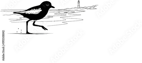 Black bird walking on a sandy beach near a lighthouse