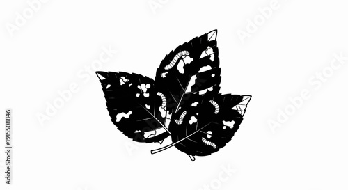 Black and white illustration of three leaves with many holes and small worms on them