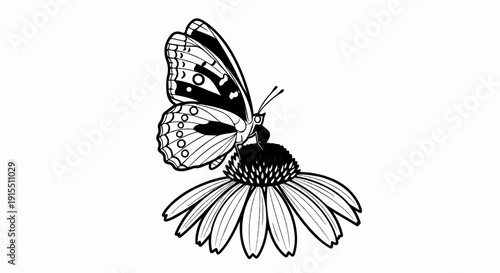 Black and white illustration of a butterfly on a daisy-like flower