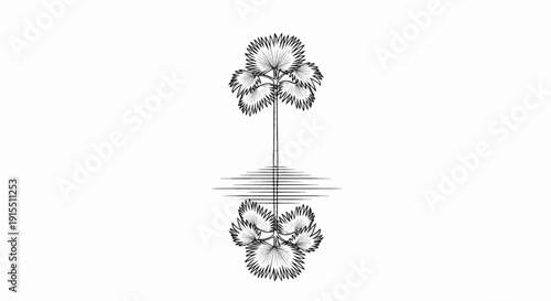 Black and white illustration of a palm tree and its reflection in water
