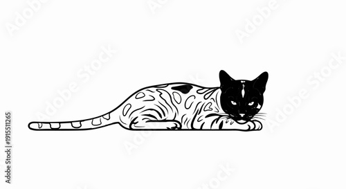 Black and white illustration of a patterned cat lounging on its side