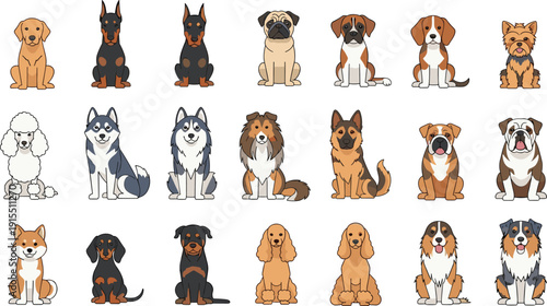 Flat Vector Dog Breed Collection, Large Set of Popular Pedigree Dogs and Puppies Isolated on White Background