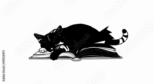 Black cat napping peacefully on an open book