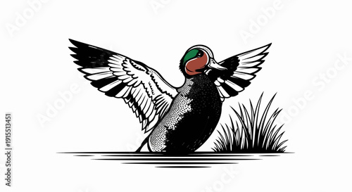 Artistic duck with wings spread wide over water and grass