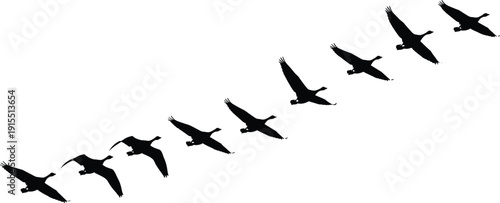 Vector Illustration of a Flock of Birds Flying in V Formation Silhouette for Nature Wildlife Migration Seasonal Climate and Outdoor Environmental Graphic Designs