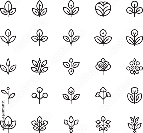 Minimalist black and white herbal medicine plant set plants leaves flowers