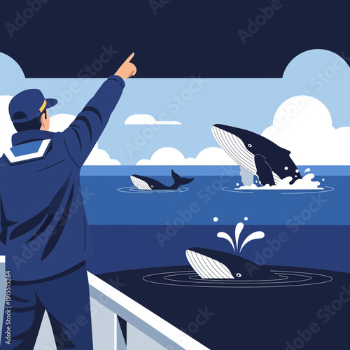 Whale Watching Expedition Guided By Marine Expert At Sea