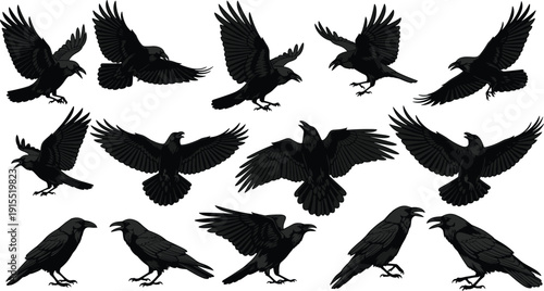 Tableau sur toile Raven and Crow Silhouette Collection Featuring Flying and Perched Black Birds fo