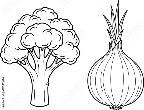 Broccoli and onion outline vegetable illustration in hand drawn line style for cooking, organic food, and kitchen design