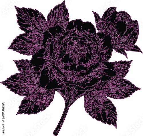 described features a detailed and stylized illustration of a peony flower and a bud, showcasing several key elements