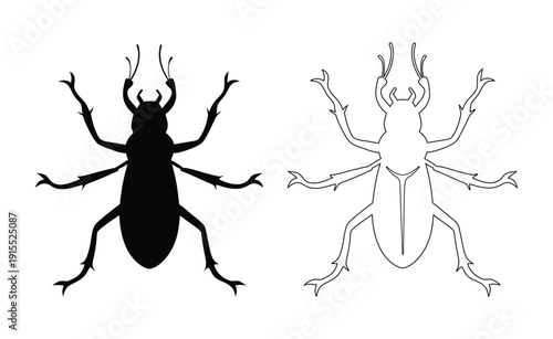 A detailed black and white illustration of a beetle with prominent antennae and legs Vector