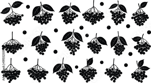 Berry cluster silhouette icon set, botanical fruit vector illustration, nature design for garden, organic food art, decorative foliage collection