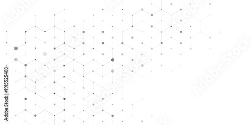 Abstract white geometric hexagon pattern background. Light grey network connection structure. Modern clean technology vector illustration.