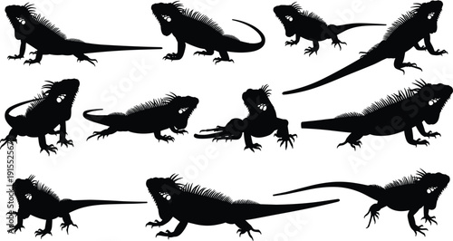 Iguana silhouette icon set, reptile vector illustration, lizard design for wildlife art, exotic animal graphic, tropical nature collection