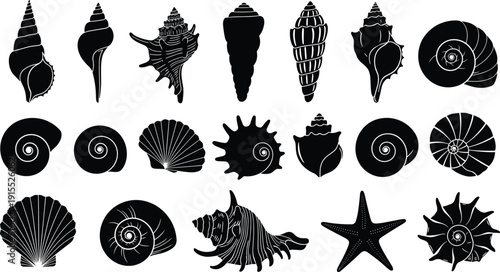 Sea shell silhouette icon set, marine life vector illustration, ocean design for coastal art, beach nature graphic, aquatic decorative collection