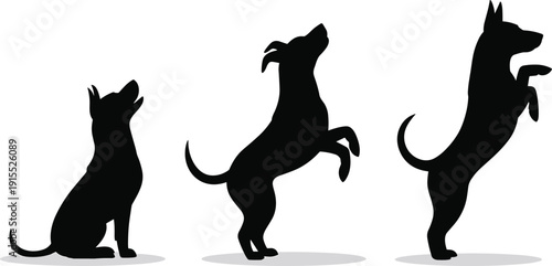 Black silhouette collection of a young puppy sitting alert and jumping up in various poses for dog training pet care and active animal concepts.
