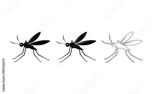 Illustration of three different types of mosquitoes with distinct markings Vector