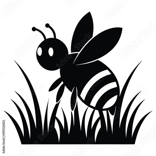 Comparison of two beetles with distinct body shapes and leg structures. Vector