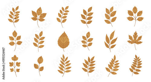 Grid of many different autumn leaves in various shades of brown and gold illustrating the diversity of seasonal foliage.