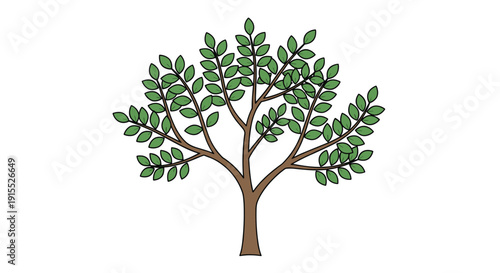 Simple green tree with a dense canopy of oval leaves and a sturdy brown trunk shown against a plain white background.