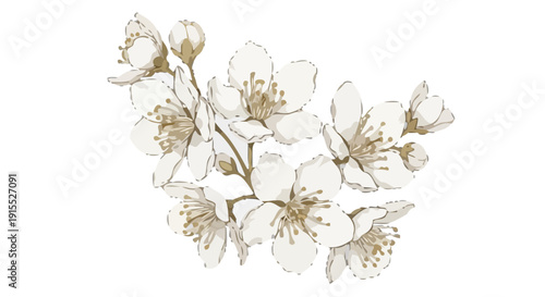 An elegant floral arrangement of blooming flowers and buds in a delicate illustration style.