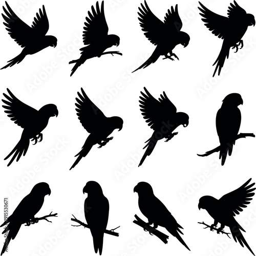 Parrot silhouette vector set flying and perched tropical bird collection isolated on light background for logo design