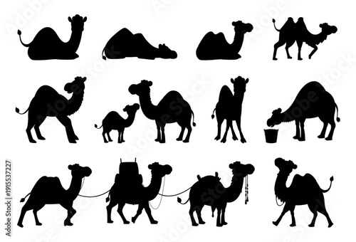 Camel black silhouettes. Isolated elements for cutting. Desert animals, wild nature or arabian domestic pack animal. Decorative wall stickers, vector clipart