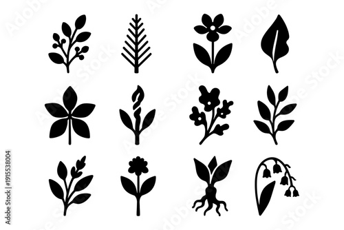 Silhouette collection of various plants and flowers in black