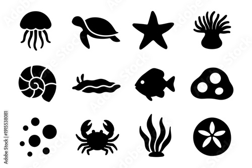 Silhouette marine life icons: jellyfish, turtle, starfish, and more