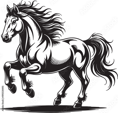 Rearing horse black and white