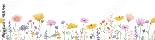 Flowers Border With Grass Isolated White