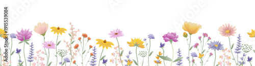 Flowers Border With Grass Isolated