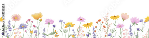 Flowers Border With Grass Isolated White Background